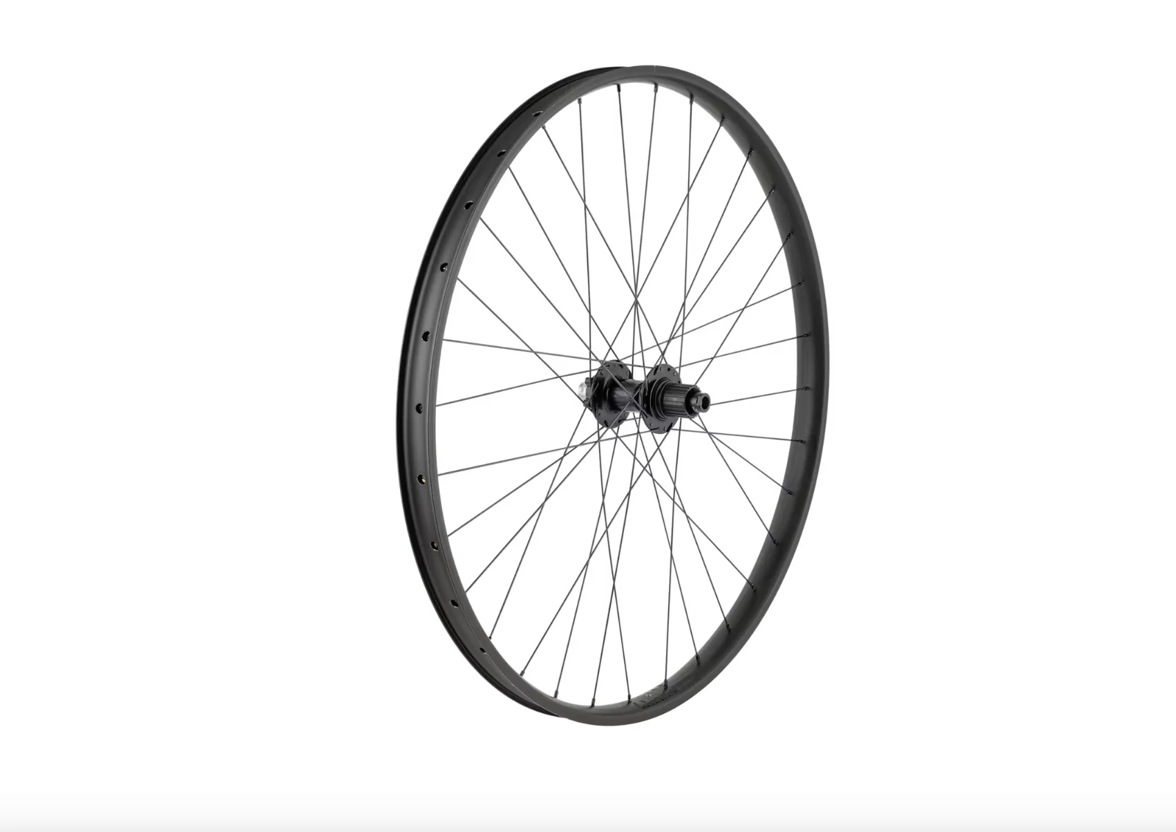 Trek Alex MD35 Boost 29˝ MTB Wheel